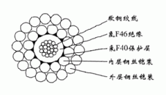 WGSF46-5.60mm單芯氟塑料F46絕緣F40護(hù)套雙鋼絲鎧裝承荷探測電纜