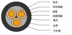 3*2.5，3*3，3*4，3*6，3*10，3*16，3*25屏蔽電纜結(jié)構(gòu)圖