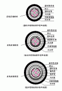 PTYA23、PTYA22鐵路鎧裝信號(hào)電纜